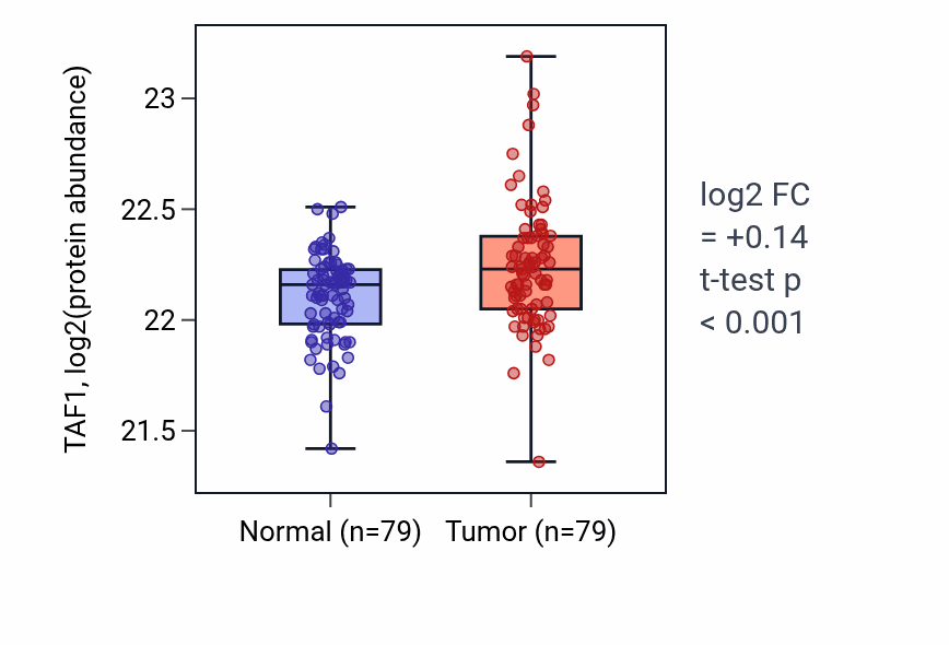 Tumor-vs-normal mass-spec protein box plot for TAF1 in LSCC.