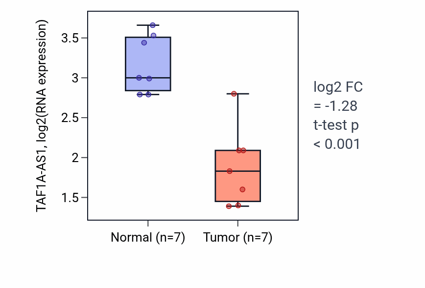 Tumor-vs-normal expression box plot for TAF1A-AS1 in THCA.