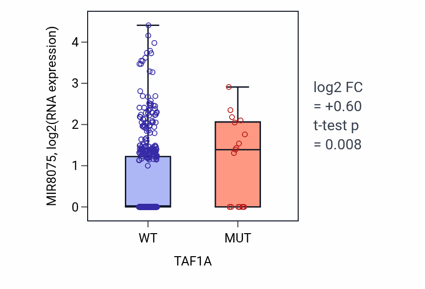 Box plot of MIR8075 in TAF1A-low vs TAF1A-high samples in UCEC.