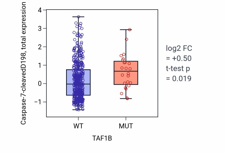 Box plot of Caspase-7-cleavedD198 in TAF1B-low vs TAF1B-high samples in UCEC.