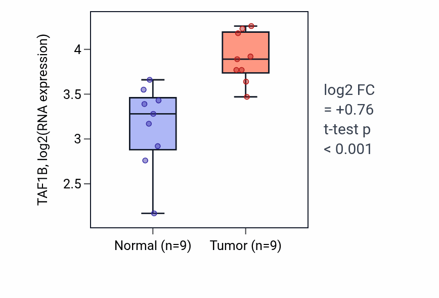 Tumor-vs-normal expression box plot for TAF1B RNA in HNSC.