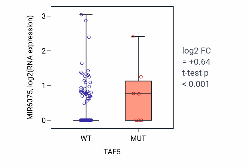 Box plot of MIR6075 in TAF5-low vs TAF5-high samples in COAD.