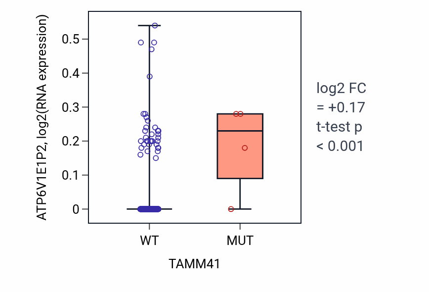 Box plot of ATP6V1E1P2 in TAMM41-low vs TAMM41-high samples in SKCM.