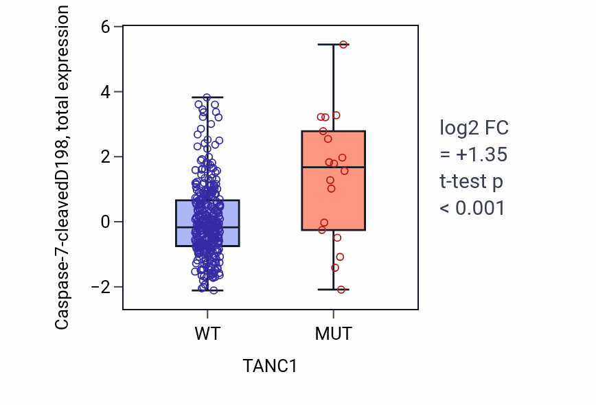 Box plot of Caspase-7-cleavedD198 in TANC1-low vs TANC1-high samples in COAD.