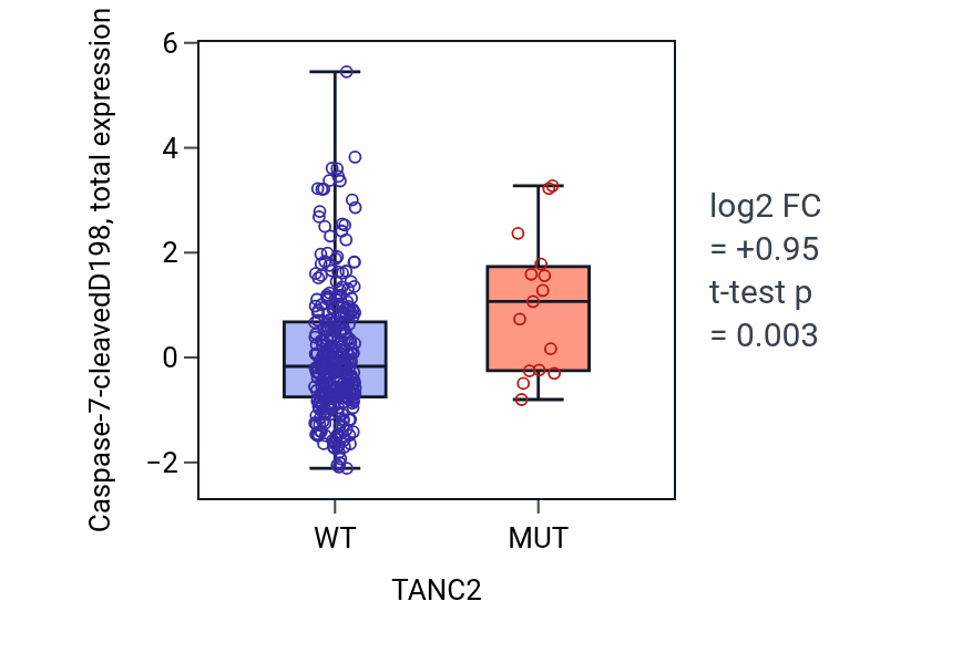 Box plot of Caspase-7-cleavedD198 in TANC2-low vs TANC2-high samples in COAD.