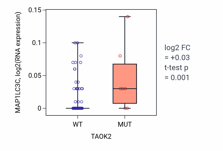 Box plot of MAP1LC3C in TAOK2-low vs TAOK2-high samples in BLOOD_Leukemia.