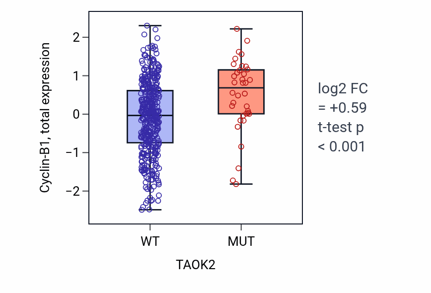 Box plot of Cyclin-B1 in TAOK2-low vs TAOK2-high samples in UCEC.