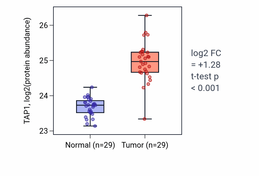 Tumor-vs-normal mass-spec protein box plot for TAP1 in CCRCC.