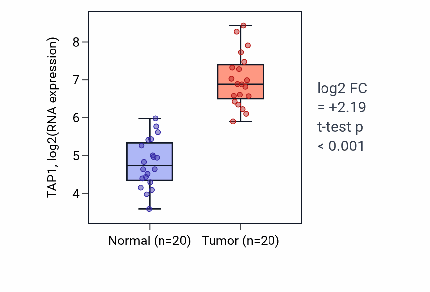 Tumor-vs-normal expression box plot for TAP1 RNA in KIRC.