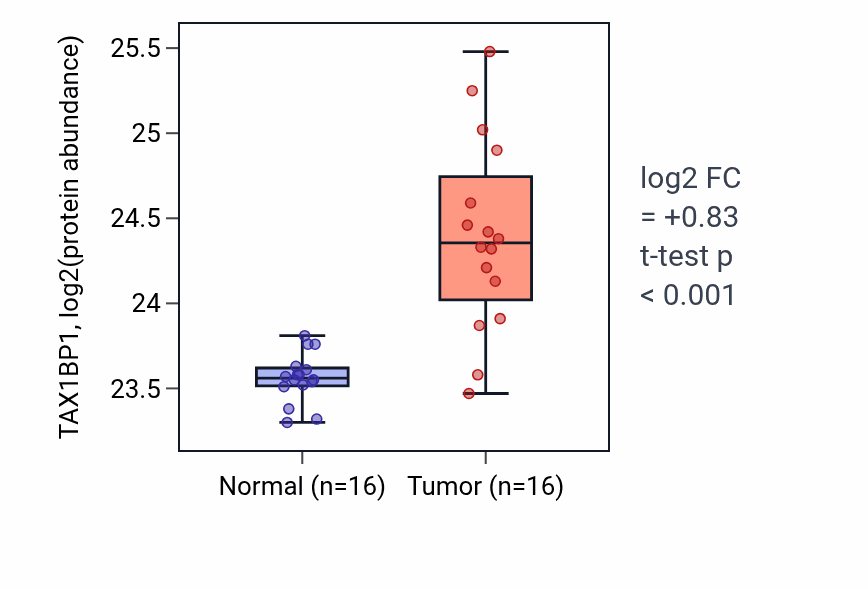 Tumor-vs-normal mass-spec protein box plot for TAX1BP1 in LUAD.