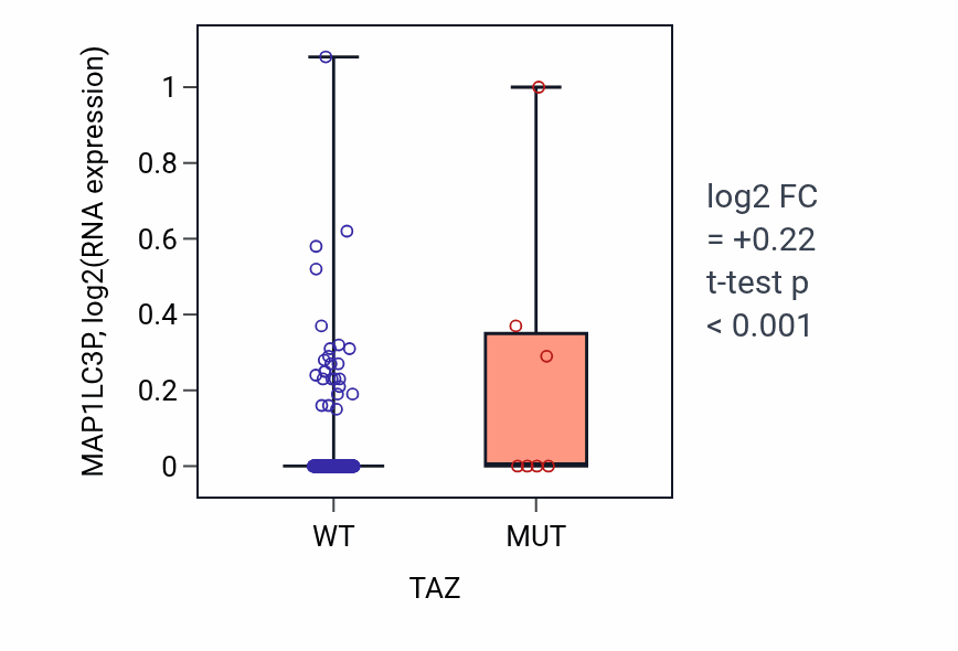 Box plot of MAP1LC3P in TAZ-low vs TAZ-high samples in BLCA.
