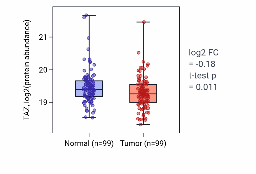 Tumor-vs-normal mass-spec protein box plot for TAZ in LSCC.