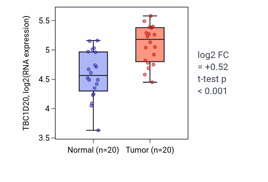 Tumor-vs-normal expression box plot for TBC1D20 RNA in KIRC.