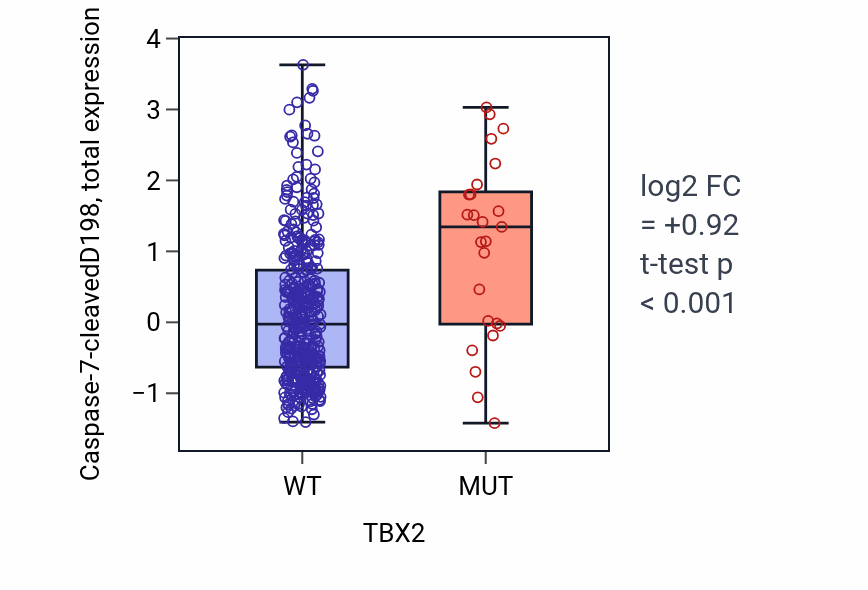 Box plot of Caspase-7-cleavedD198 in TBX2-low vs TBX2-high samples in UCEC.