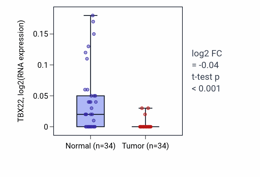 Tumor-vs-normal expression box plot for TBX22 RNA in KIRC.