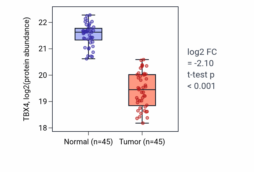 Tumor-vs-normal mass-spec protein box plot for TBX4 in LSCC.