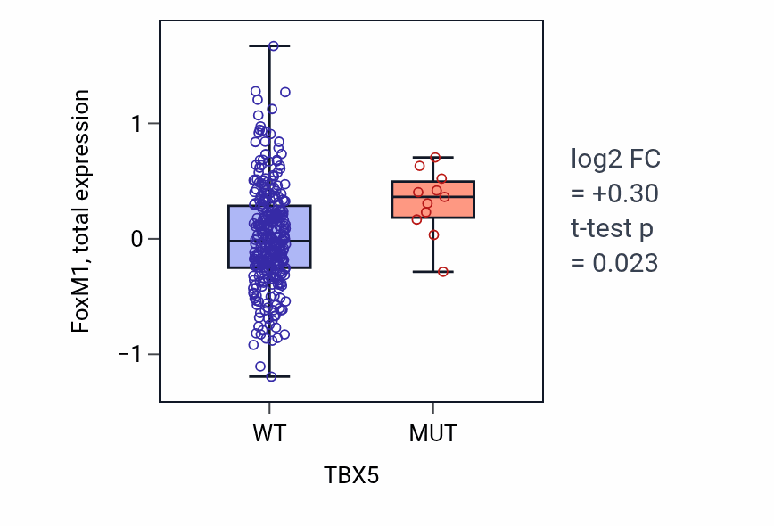 Box plot of FoxM1 in TBX5-low vs TBX5-high samples in LUSC.