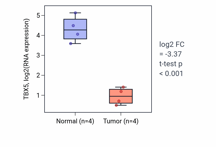 Tumor-vs-normal expression box plot for TBX5 RNA in BLCA.