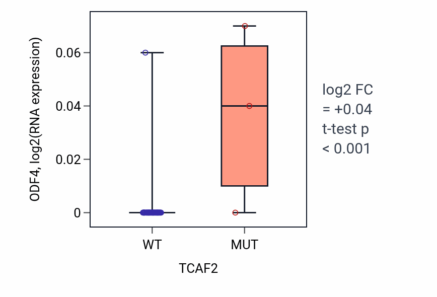 Box plot of ODF4 in TCAF2-low vs TCAF2-high samples in OVARY.