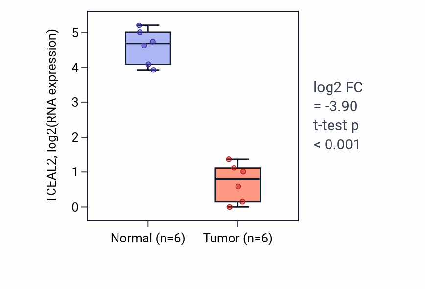 Tumor-vs-normal expression box plot for TCEAL2 in KIRC.