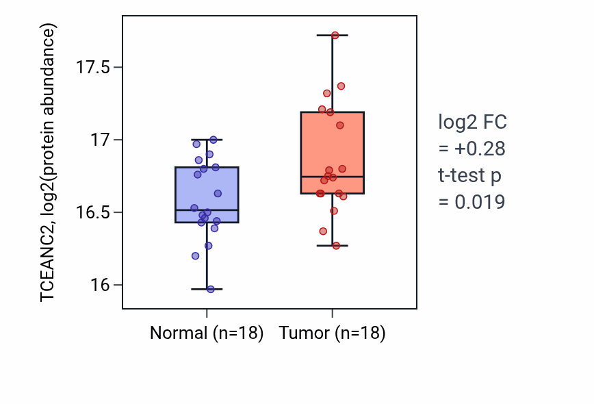 Tumor-vs-normal mass-spec protein box plot for TCEANC2 in HNSC.