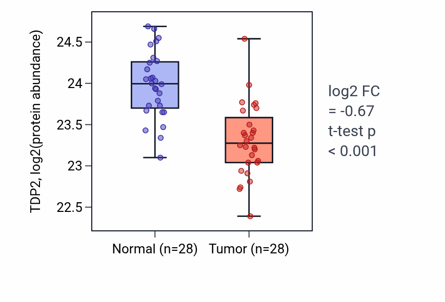 Tumor-vs-normal mass-spec protein box plot for TDP2 in COAD.