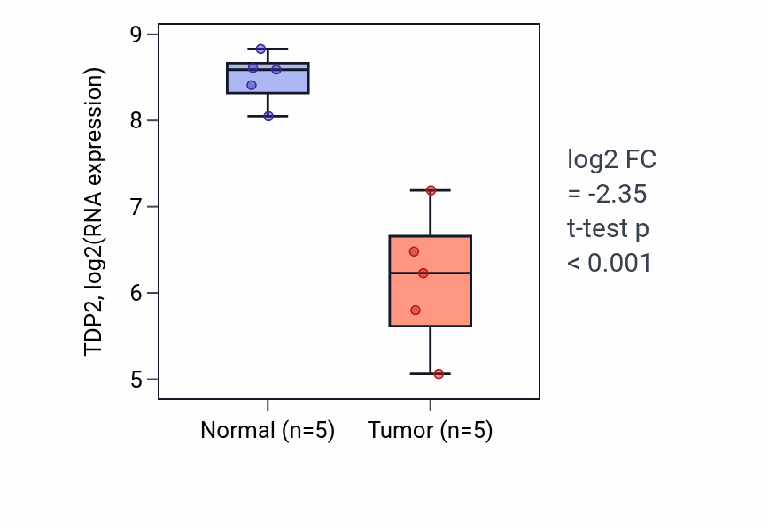 Tumor-vs-normal expression box plot for TDP2 RNA in COAD.