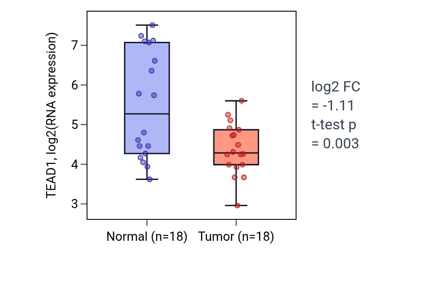 Tumor-vs-normal expression box plot for TEAD1 in BLCA.
