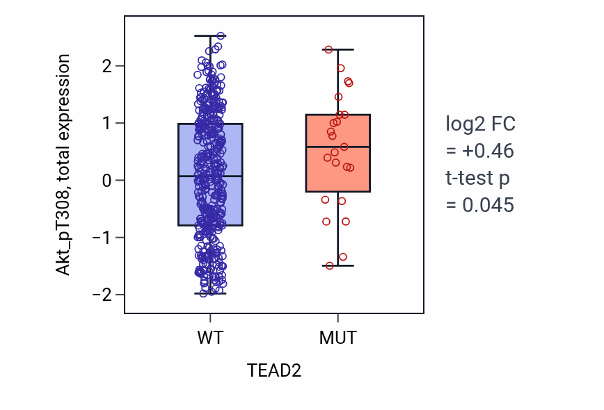 Box plot of Akt_pT308 in TEAD2-low vs TEAD2-high samples in UCEC.
