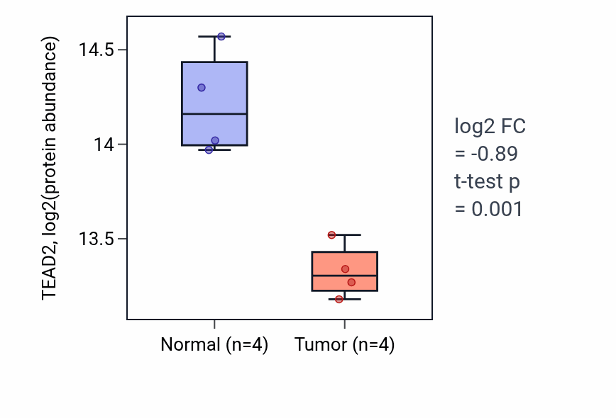 Tumor-vs-normal mass-spec protein box plot for TEAD2 in LUAD.
