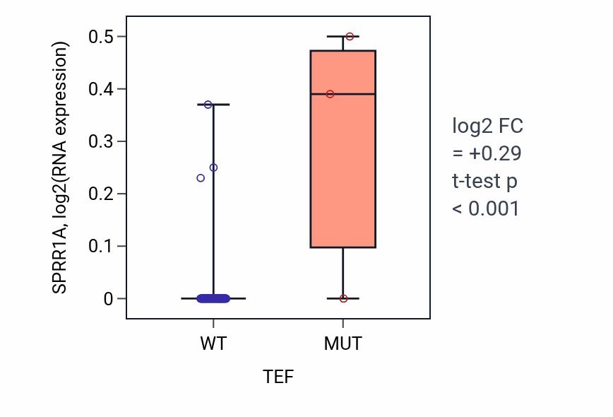 Box plot of SPRR1A in TEF-low vs TEF-high samples in BLOOD_Leukemia.