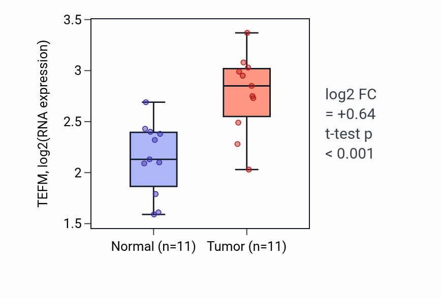 Tumor-vs-normal expression box plot for TEFM RNA in HNSC.