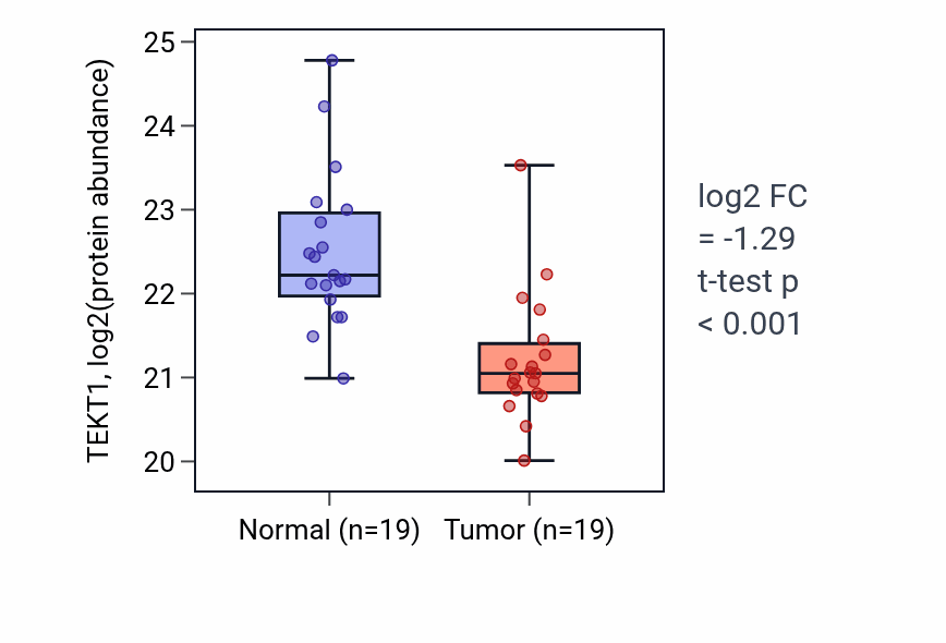 Tumor-vs-normal mass-spec protein box plot for TEKT1 in LSCC.