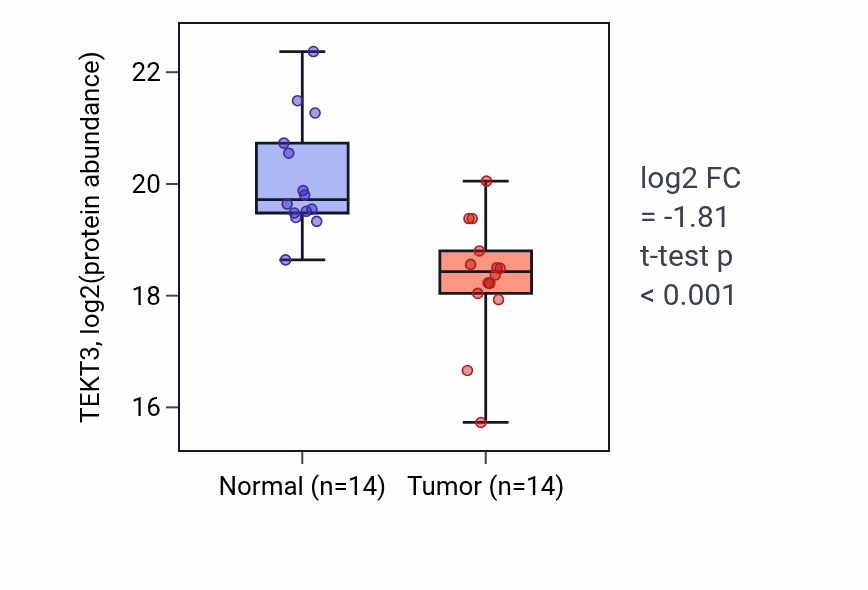 Tumor-vs-normal mass-spec protein box plot for TEKT3 in LSCC.