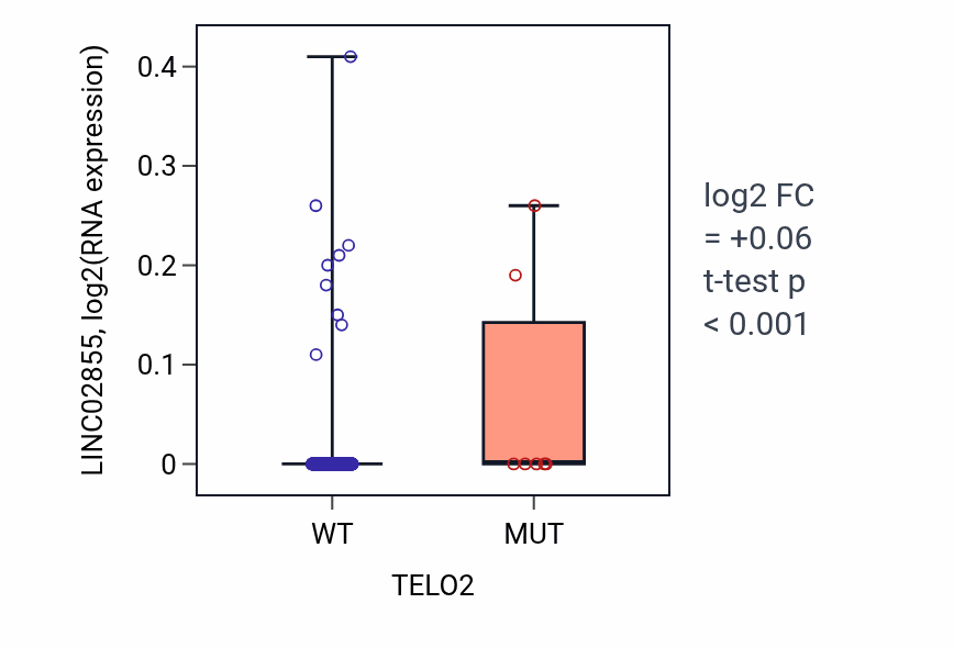 Box plot of LINC02855 in TELO2-low vs TELO2-high samples in LUAD.