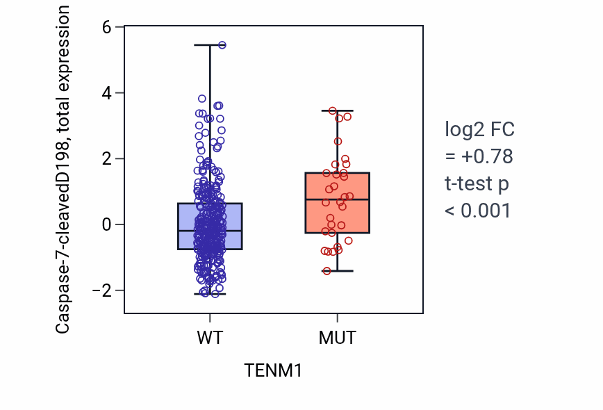 Box plot of Caspase-7-cleavedD198 in TENM1-low vs TENM1-high samples in COAD.