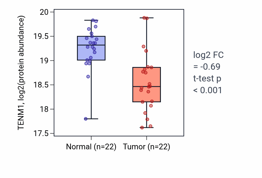 Tumor-vs-normal mass-spec protein box plot for TENM1 in HNSC.