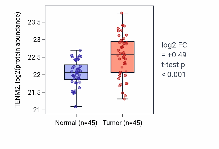 Tumor-vs-normal mass-spec protein box plot for TENM2 in HNSC.