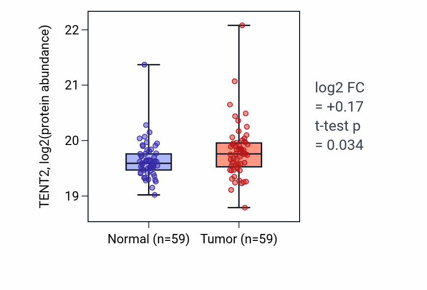 Tumor-vs-normal mass-spec protein box plot for TENT2 in CCRCC.