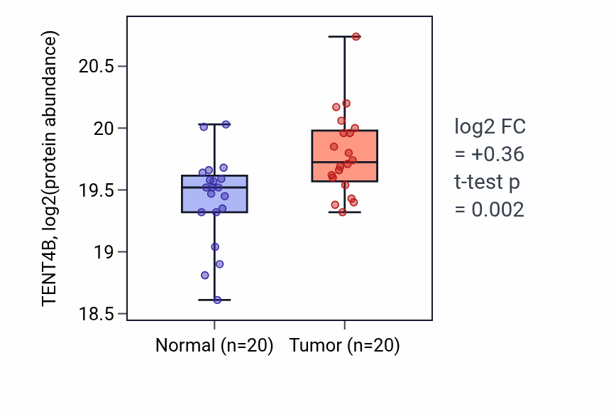 Tumor-vs-normal mass-spec protein box plot for TENT4B in COAD.