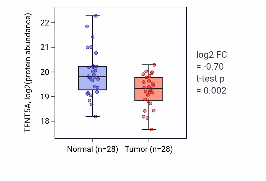 Tumor-vs-normal mass-spec protein box plot for TENT5A in HNSC.