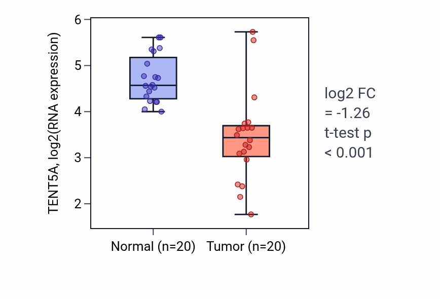 Tumor-vs-normal expression box plot for TENT5A RNA in COAD.