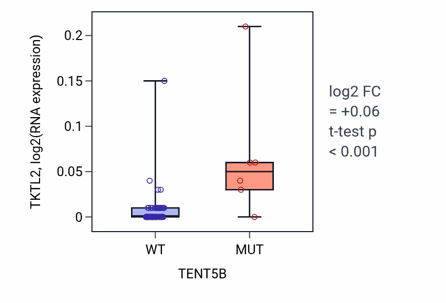 Box plot of TKTL2 in TENT5B-low vs TENT5B-high samples in LARGE_INTESTINE.