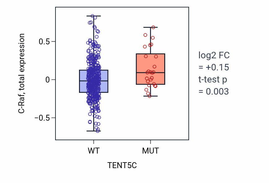 Box plot of C-Raf in TENT5C-low vs TENT5C-high samples in UCEC.