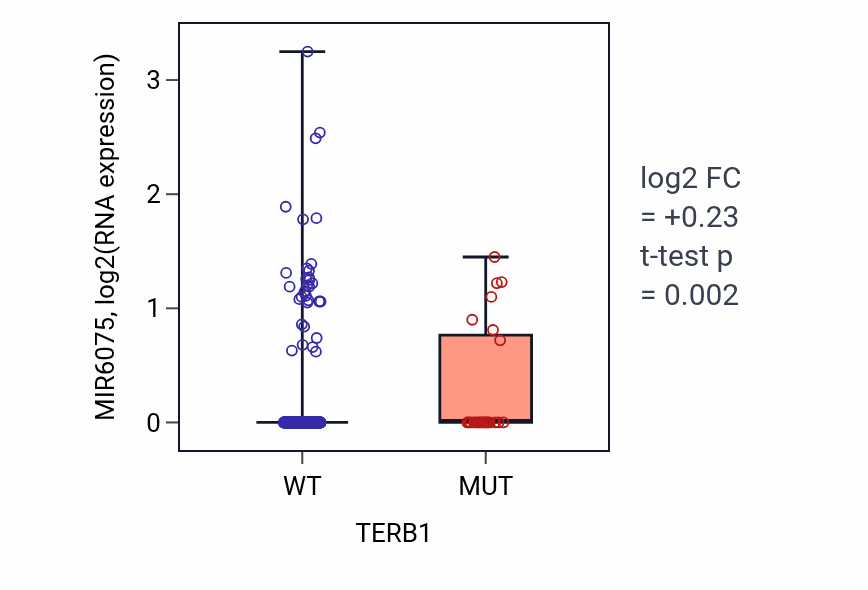 Box plot of MIR6075 in TERB1-low vs TERB1-high samples in UCEC.