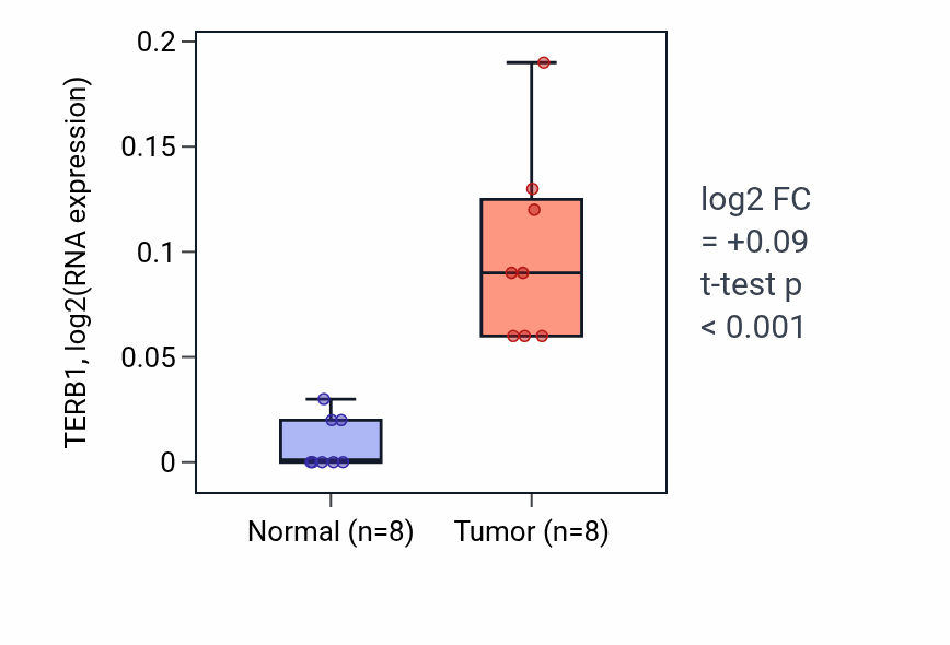 Tumor-vs-normal expression box plot for TERB1 RNA in READ.