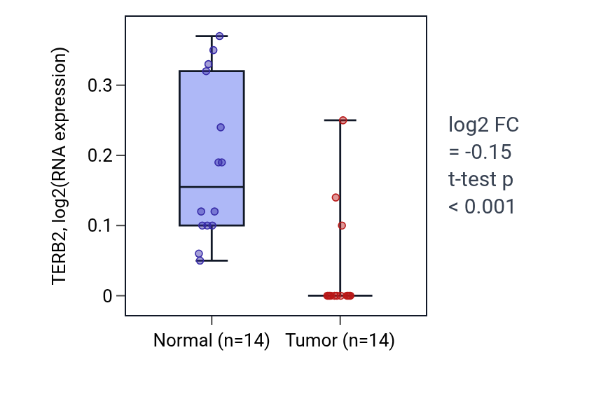Tumor-vs-normal expression box plot for TERB2 in THCA.