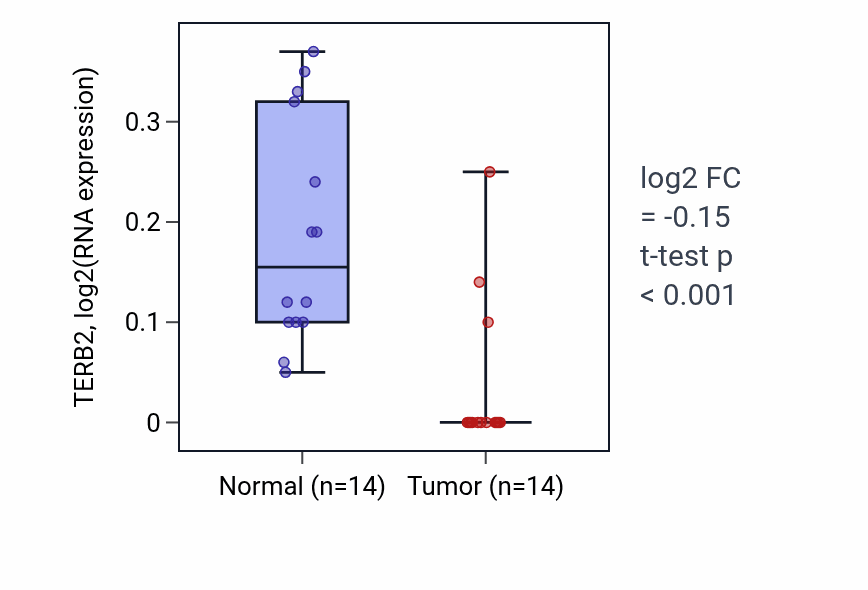 Tumor-vs-normal expression box plot for TERB2 RNA in THCA.
