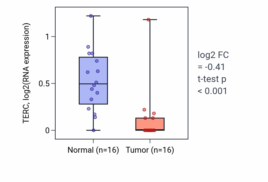 Tumor-vs-normal expression box plot for TERC in THCA.