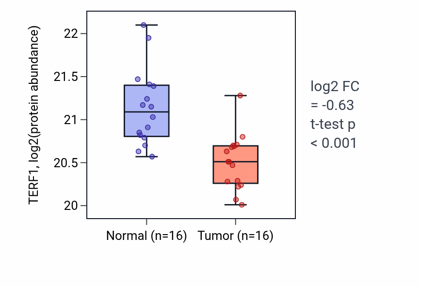 Tumor-vs-normal mass-spec protein box plot for TERF1 in PDAC.
